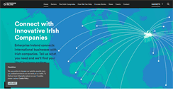 Desktop Screenshot of irishadvantage.com